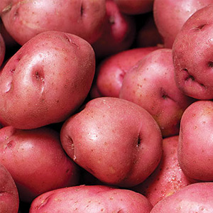 Red Potatoes