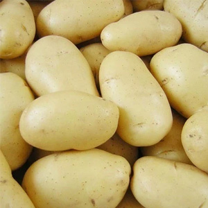 White Potatoes